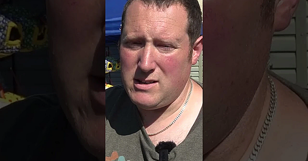 Ferrets On The Up And Up