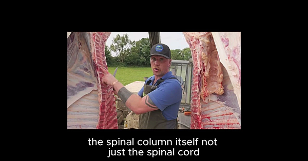 Hunters already have many of the skills needed for livestock homekill