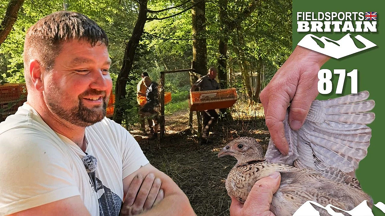 Fieldsports Britain – Hot birds