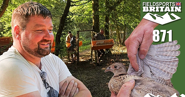 Fieldsports Britain – Hot birds