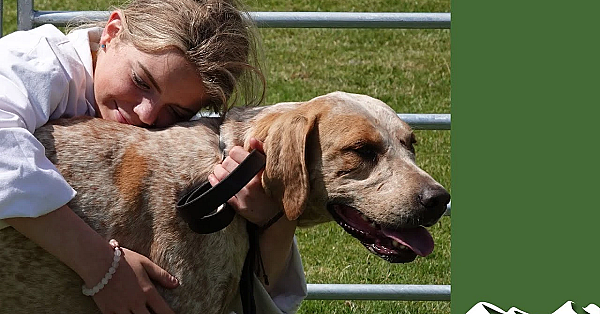 What Makes The Best Foxhound?