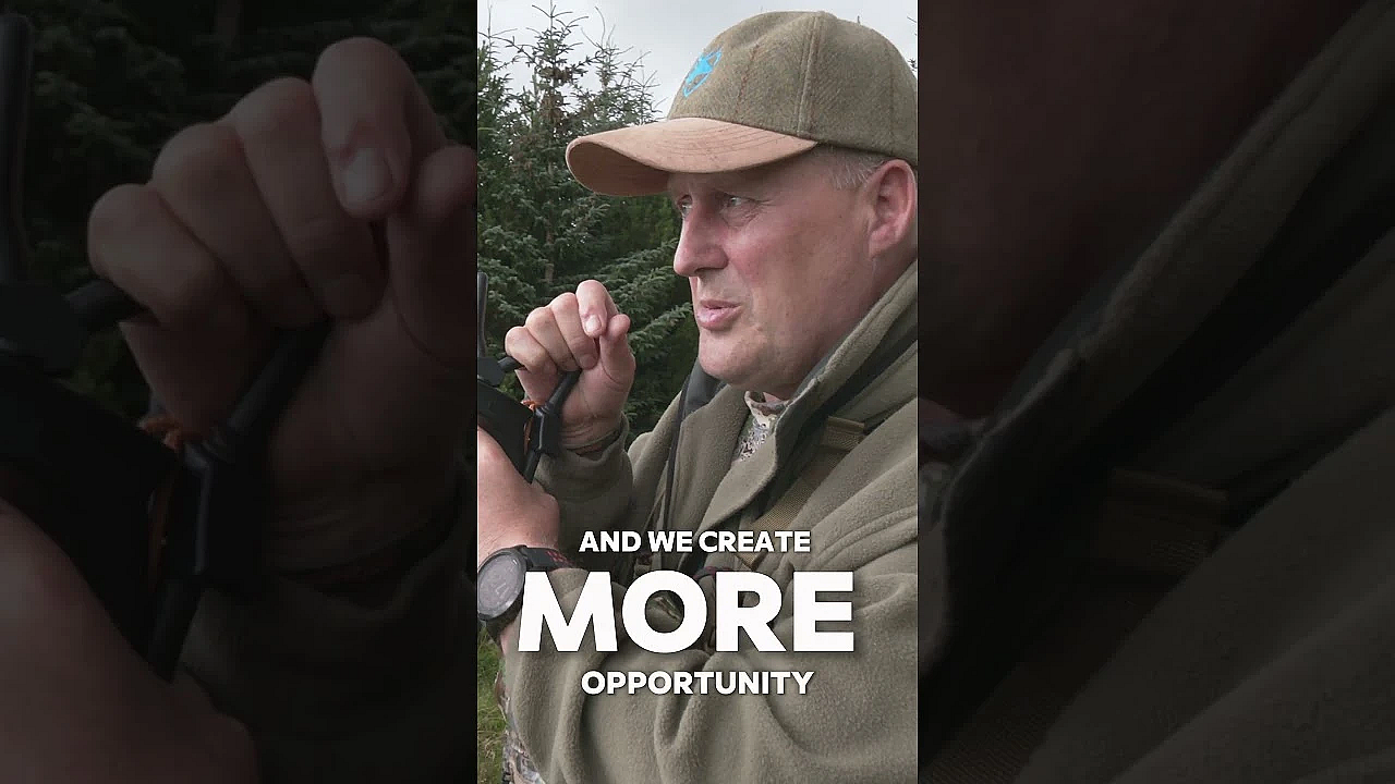 What's The Difference In Stalking Time Between A Sika And A Red Deer? #deerhunting