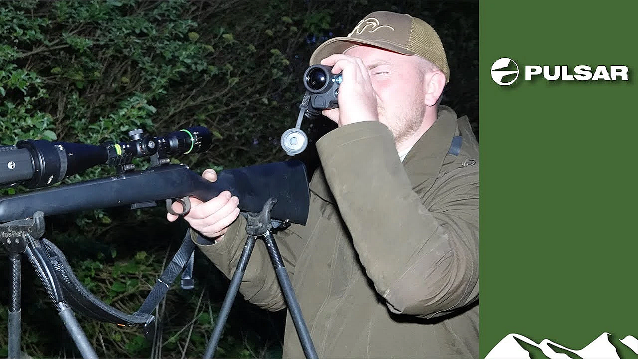 Are Bunnies Bouncing Back?