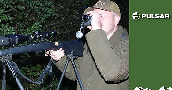 Are Bunnies Bouncing Back?