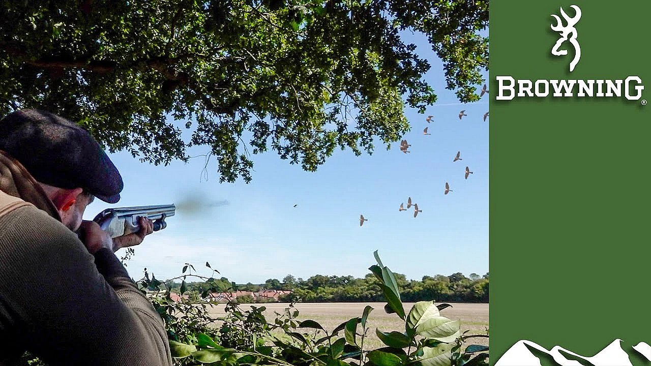 Decoying: How To Turn The Pigeon Tide In Your Favour