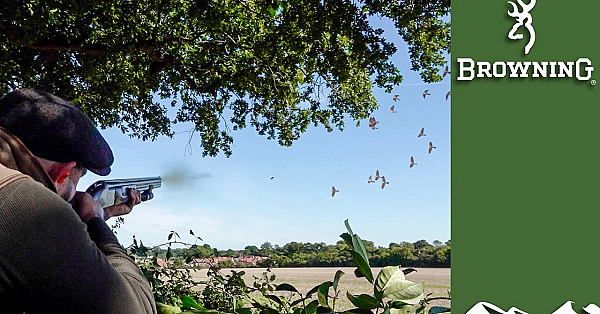 Decoying: How To Turn The Pigeon Tide In Your Favour