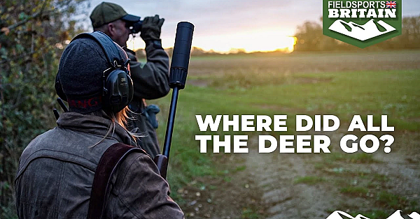 Where Did All The Deer Go?