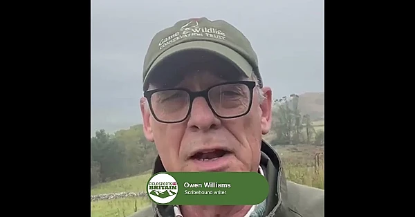 Could more fox control help save curlews? @GWCT @RSPBvideo