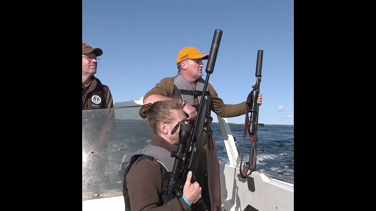Could Scotland learn from Sweden’s approach to wildlife management?