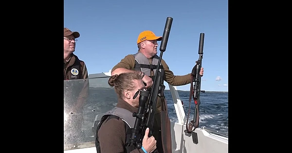 Could Scotland learn from Sweden’s approach to wildlife management?
