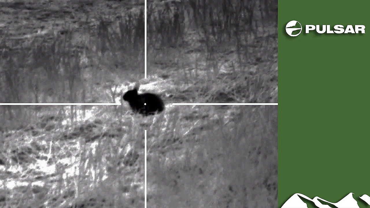 On Test: Pulsar Helion 2 Xp50 Thermal Spotter