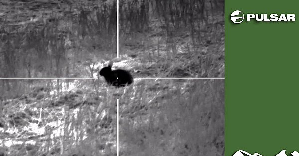 On Test: Pulsar Helion 2 Xp50 Thermal Spotter