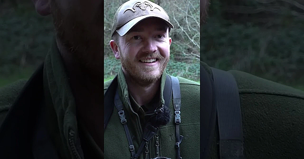 Tom Davies Is Out After Roebucks On Dartmoor #fieldsportsbritain