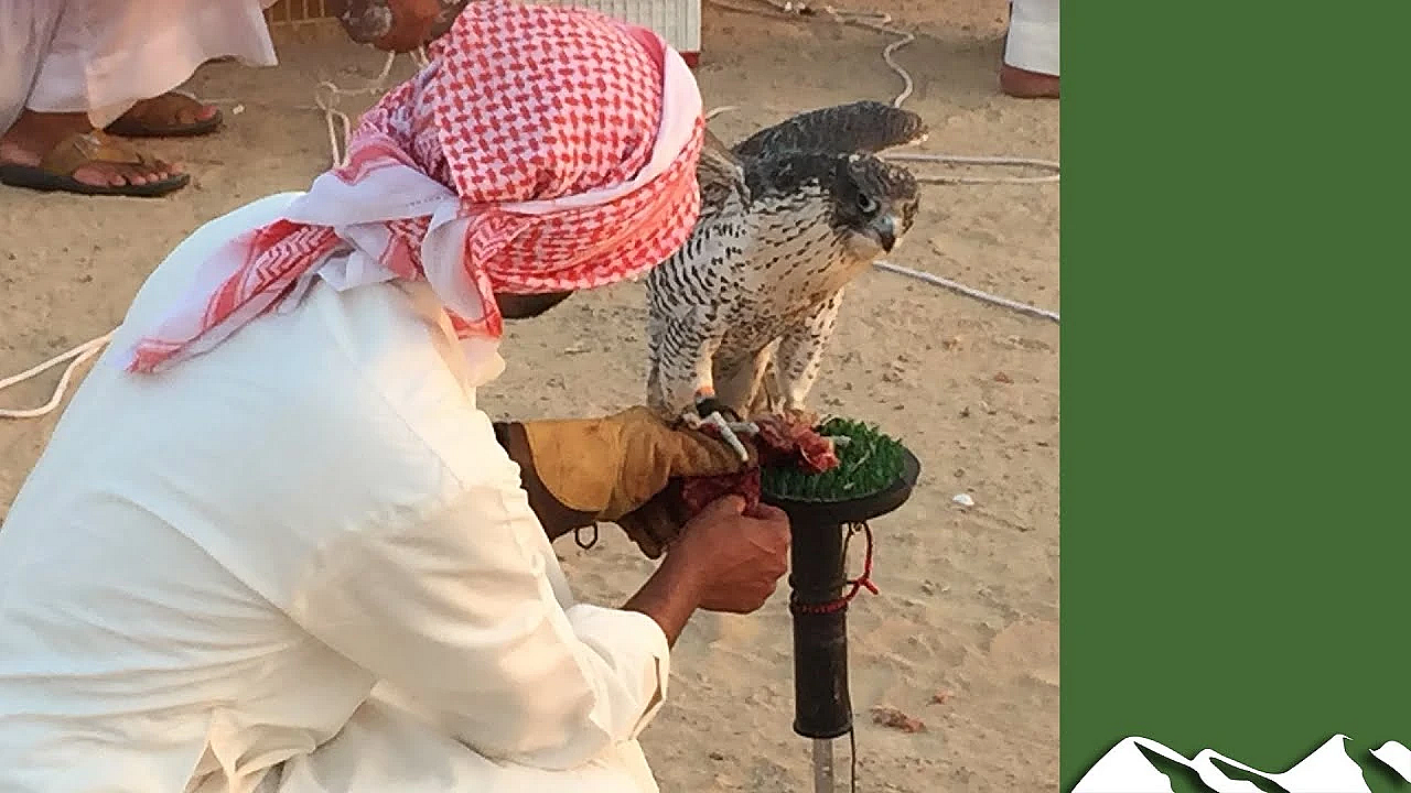 The Falcon Thief - Rip-roaring But Overblown