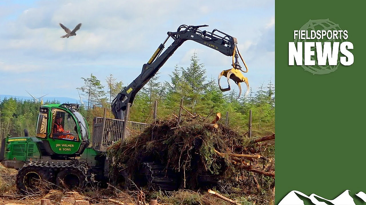 Nesting Season Clearfell Shock