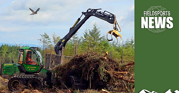 Nesting Season Clearfell Shock