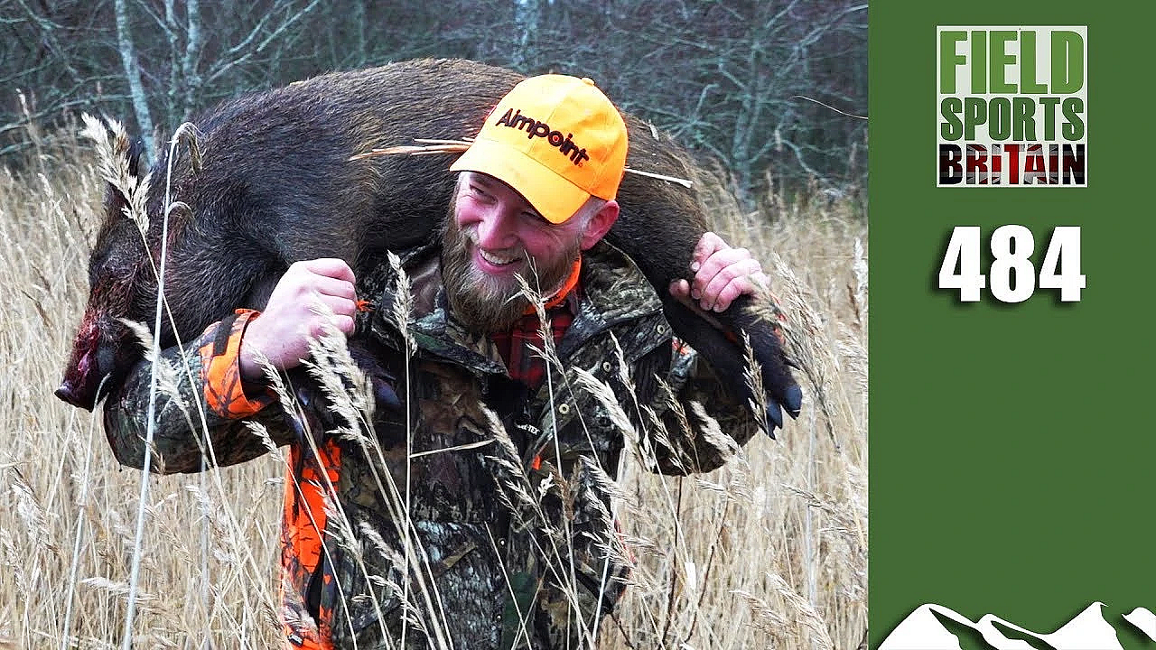 Fieldsports Britain - Monster Close-range Wild Boar Hunting