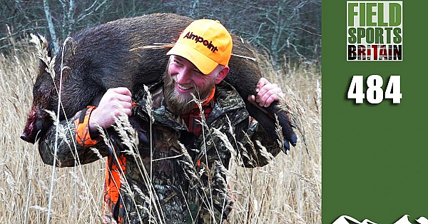 Fieldsports Britain - Monster Close-range Wild Boar Hunting