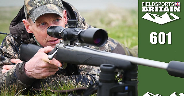 Fieldsports Britain - The Wonderful .22-250 Calibre
