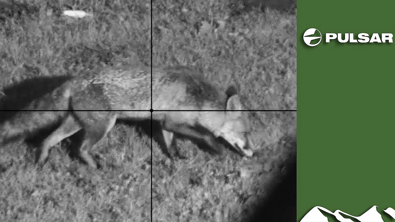 Lockdown Lupton's Thermal Fox Control