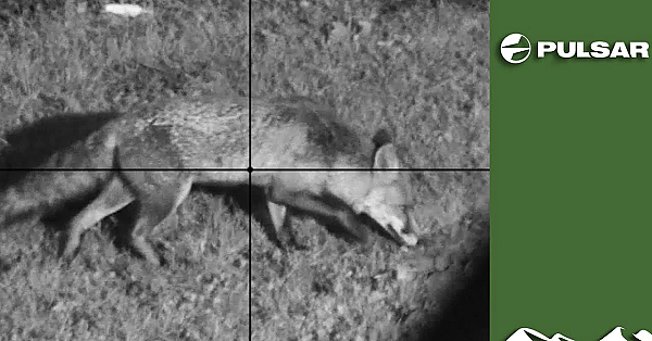 Lockdown Lupton's Thermal Fox Control