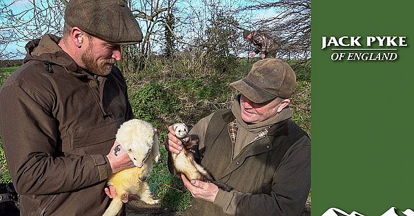 Cattyshack Wayne's Giant Ferrets Bolt Rabbits