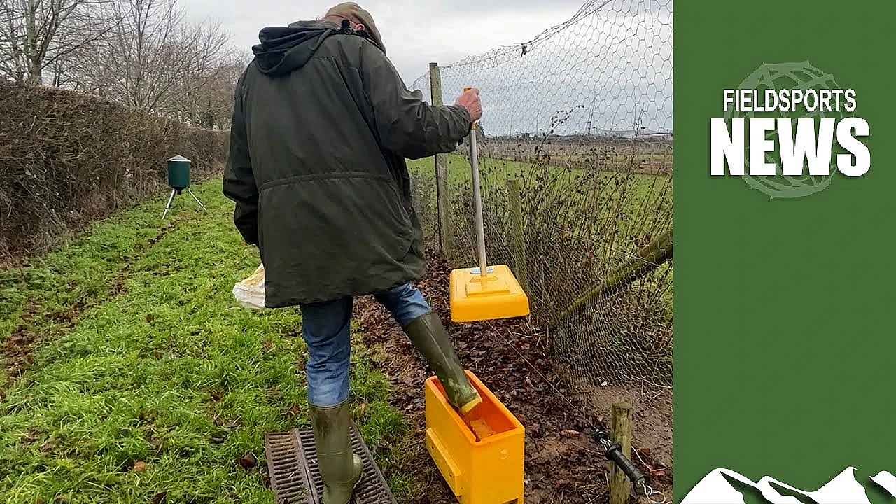 Bird Flu And The 2023/2024 Pheasant Shooting Season