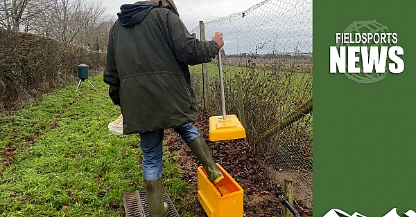 Bird Flu And The 2023/2024 Pheasant Shooting Season