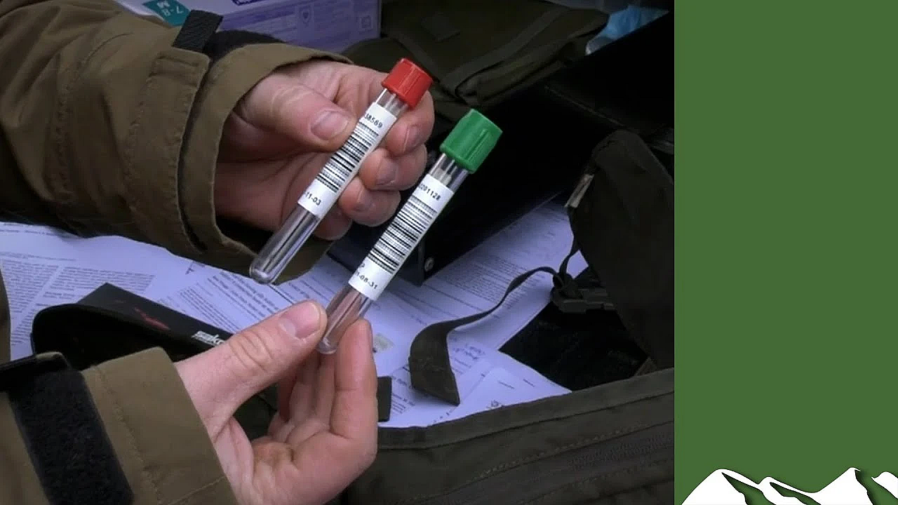 What Does A Deer Feel When It Dies?