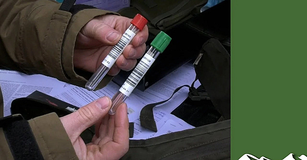 What Does A Deer Feel When It Dies?