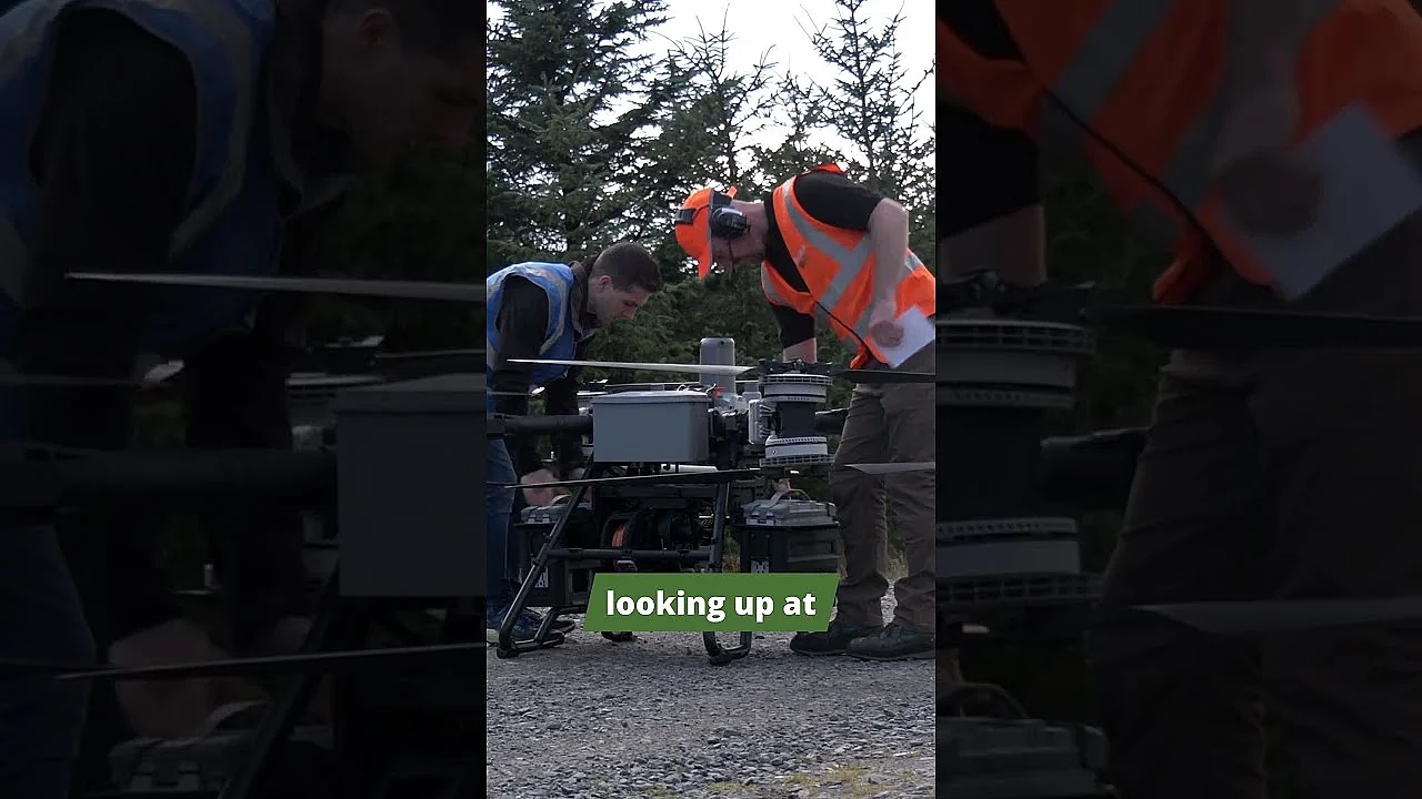 Deer might fly! Could drones change deer recovery? 🦌🚁