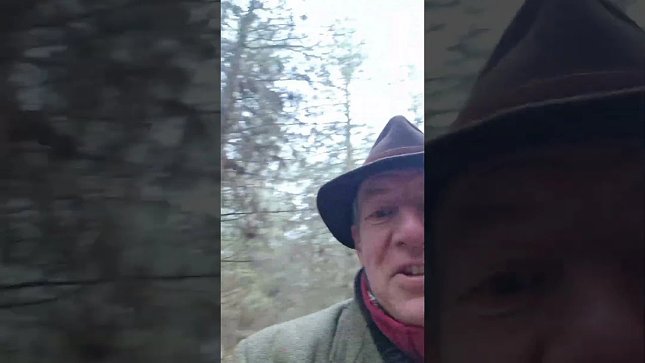 The Things You Find In The Great British Countryside...