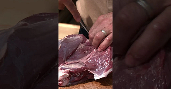 Stalking A Roe For Its Cuts  #fieldsportsbritain #deerhunting