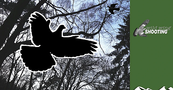 Irish Pigeon Roost Shoot