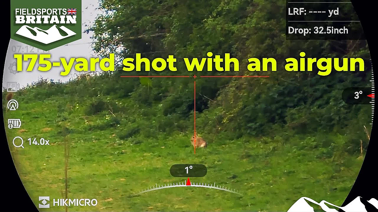 175-yard Rabbit With An Airgun