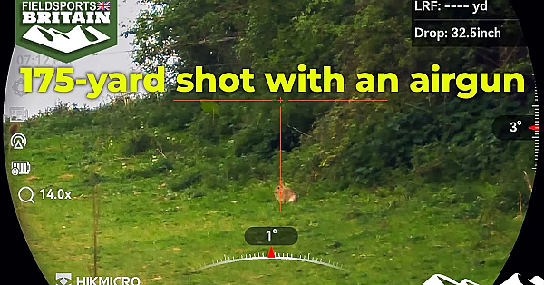 175-yard Rabbit With An Airgun