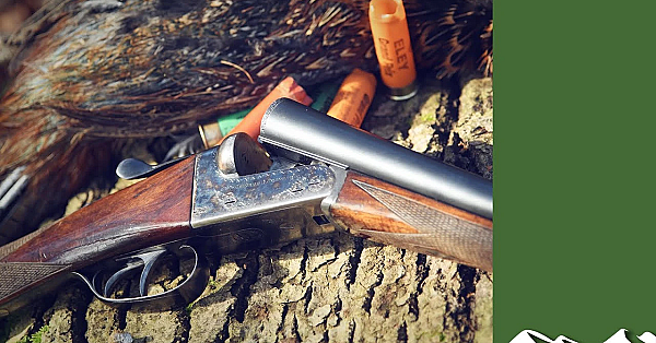 How To Shoot And Eat A Pheasant