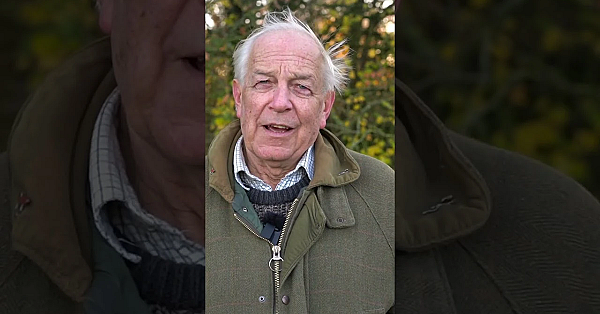 Robert Bucknell Hikmicro Thunder Thermal Scopes &amp; Rats  #hunting #fieldsportsbritain #fieldsports