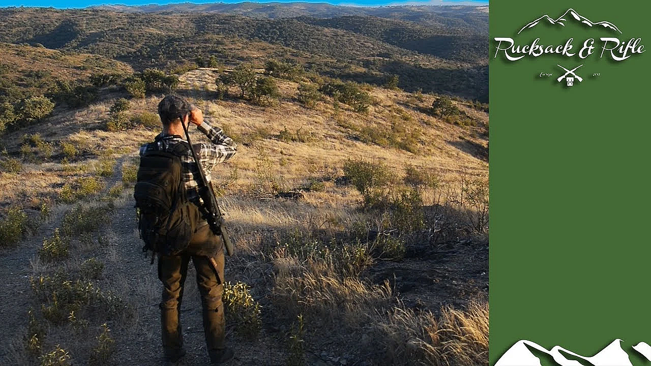 Meat Hunting In Portugal