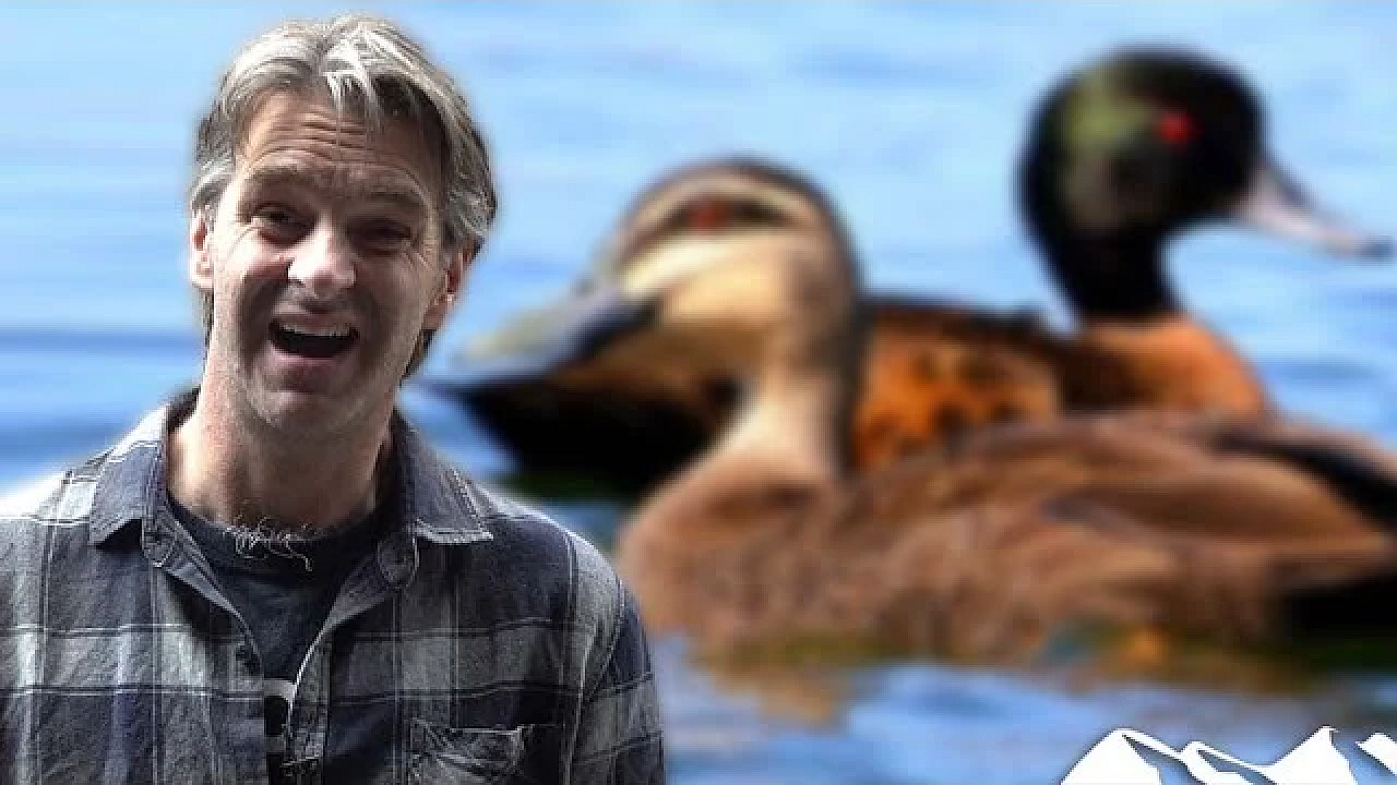 Angry Aussie Duck Hunter - Fieldsports News