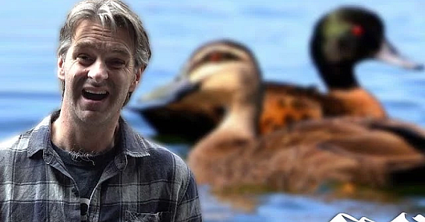 Angry Aussie Duck Hunter - Fieldsports News