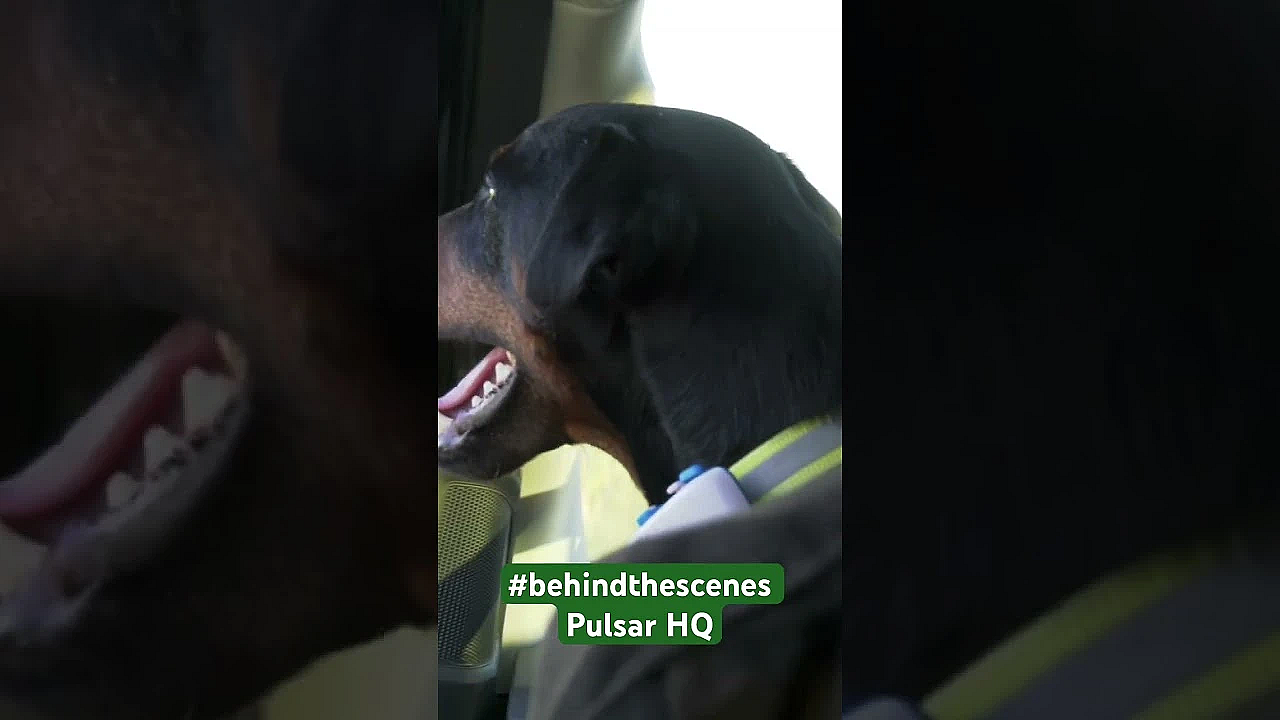 Inside Pulsar's Night Vision Hq, Watch In Full: Https://youtu.be/cz_j_upqkdo #pulsarvision