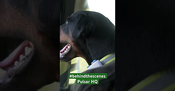 Inside Pulsar's Night Vision Hq, Watch In Full: Https://youtu.be/cz_j_upqkdo #pulsarvision