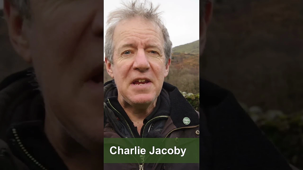 Dan Thor Is On The Brent Pelham Shoot, Niall Rowantree Is In Lapland  #fieldsports #hunting