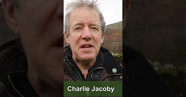 Dan Thor Is On The Brent Pelham Shoot, Niall Rowantree Is In Lapland  #fieldsports #hunting