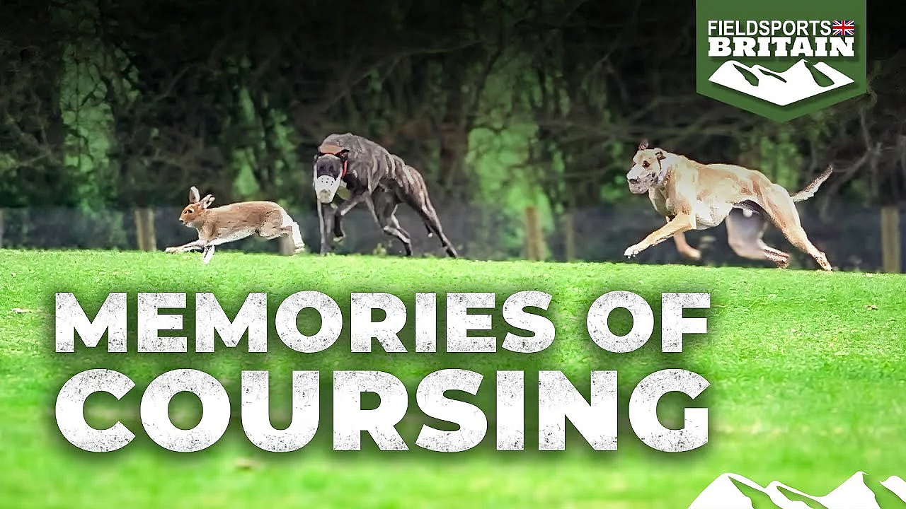 Memories Of Coursing