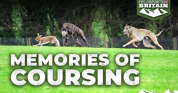 Memories Of Coursing