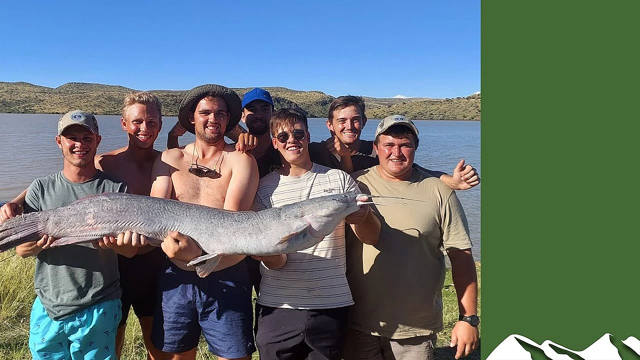 Catching Big African Catfish