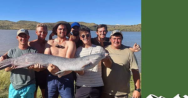 Catching Big African Catfish