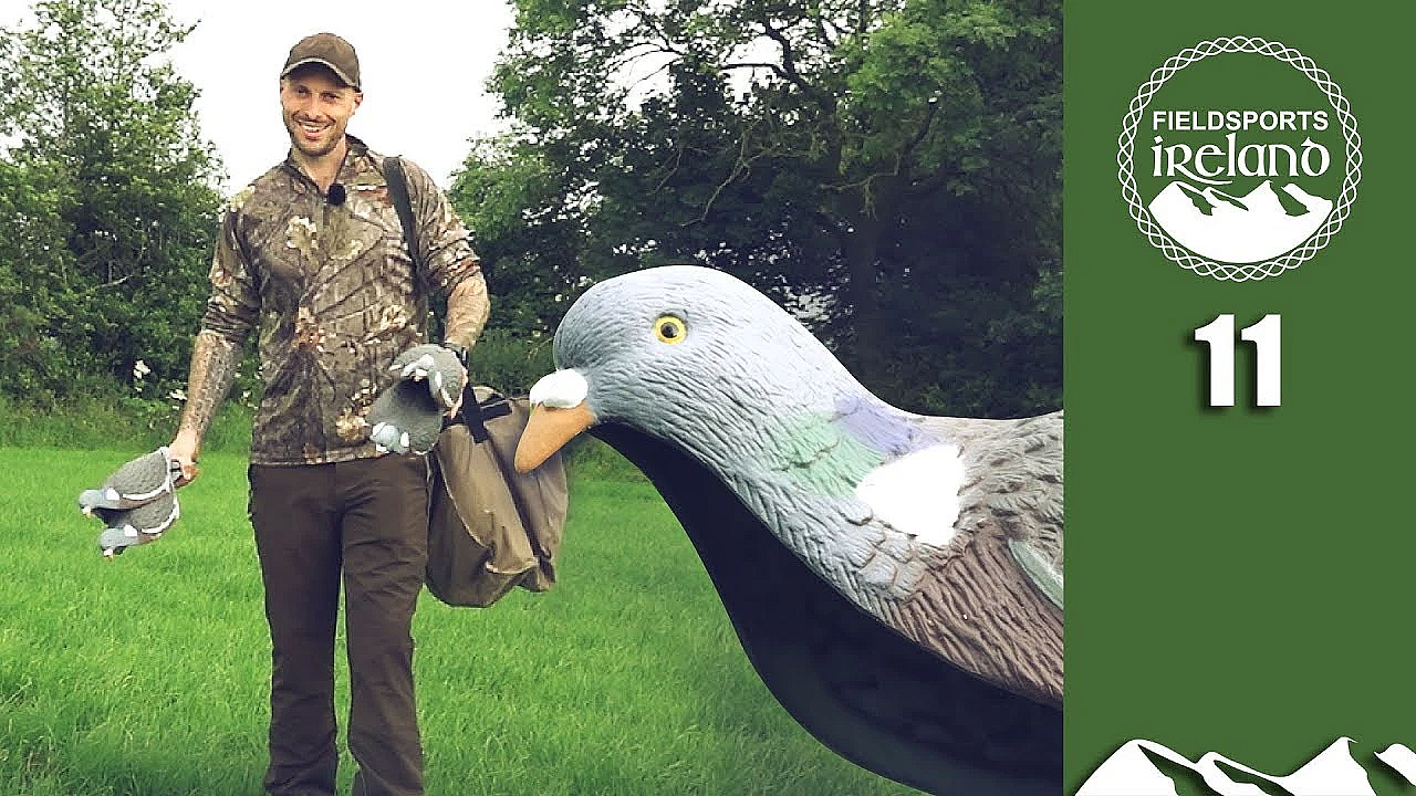 Irresistible Pigeon Patterns - Fieldsports Ireland Episode 11